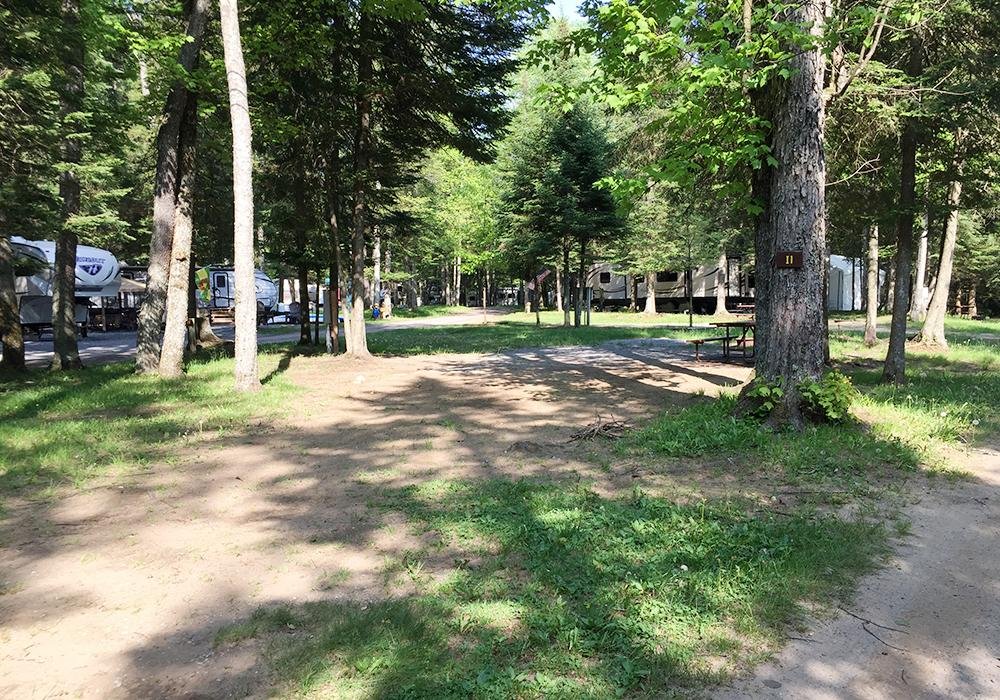 Site Image