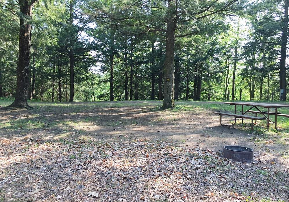 Site Image