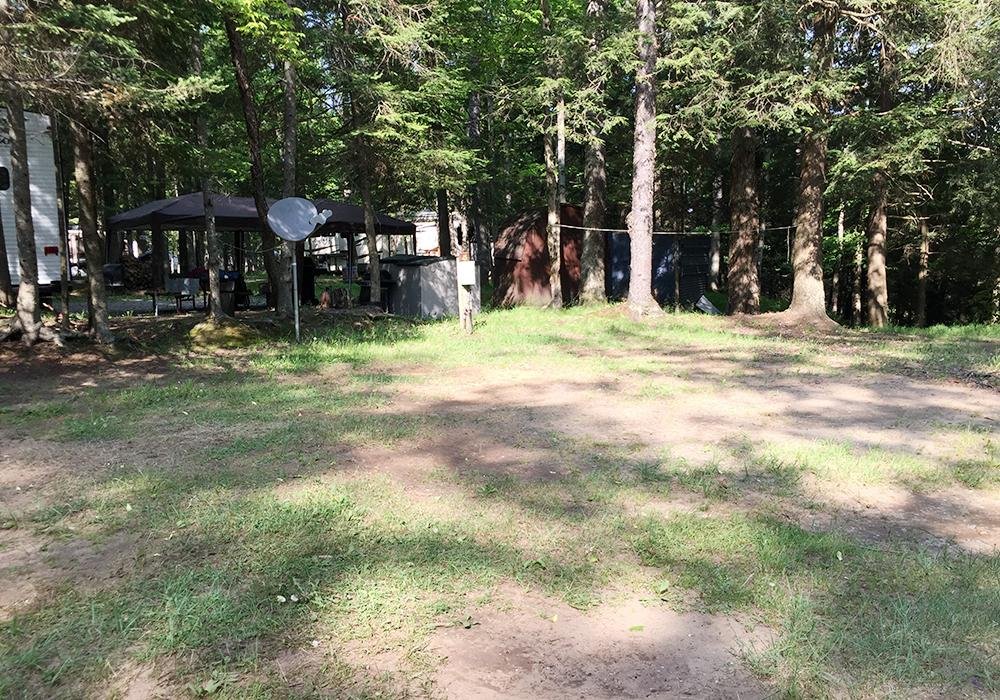 Site Image
