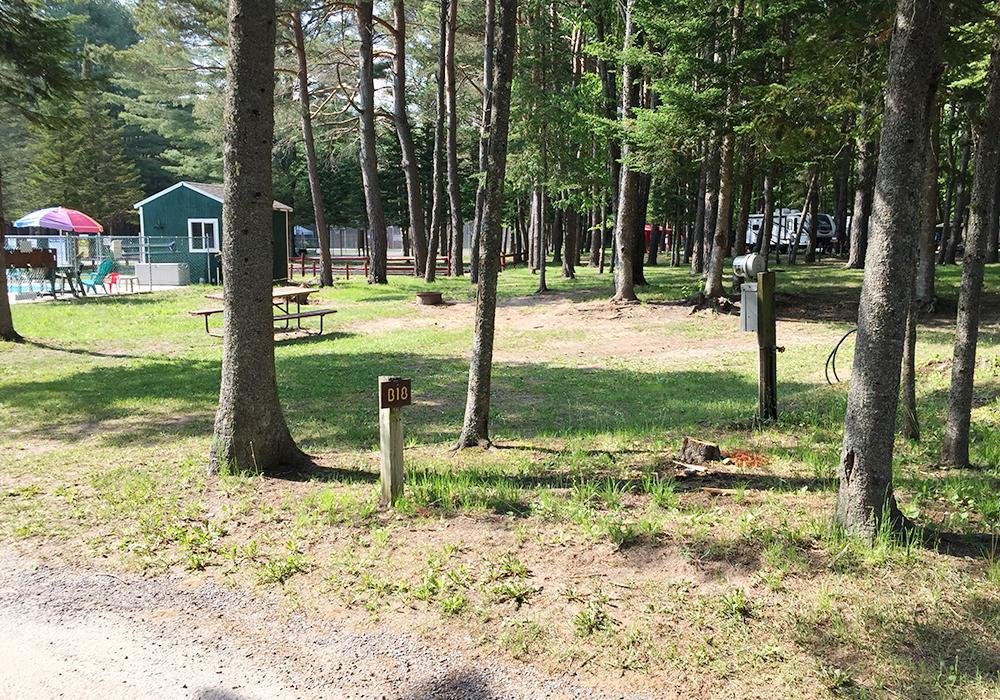 Site Image
